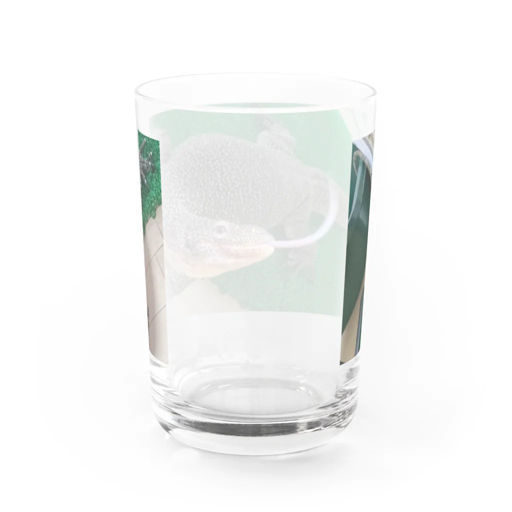 ちゃんねるおミズのおミズぐっず(マングローブオオトカゲ) Water Glass :back