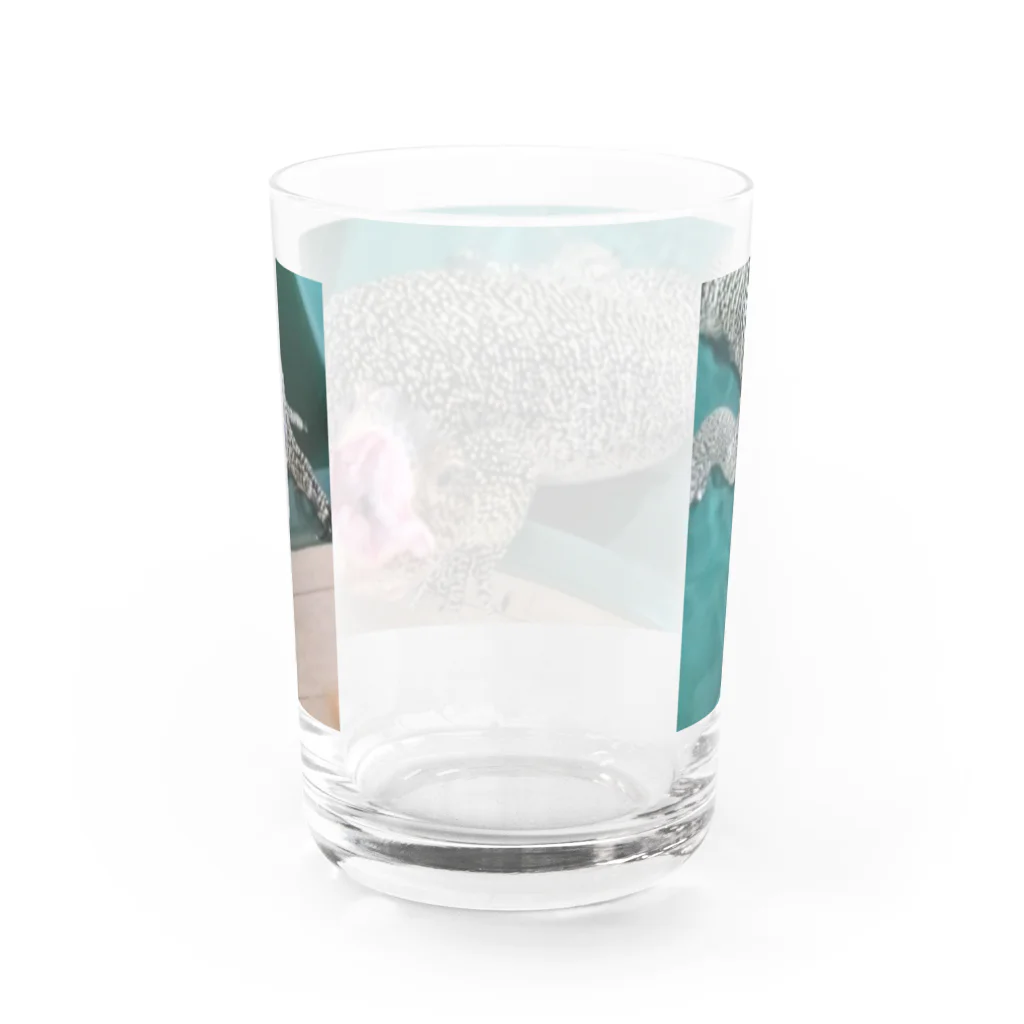 ちゃんねるおミズのおミズぐっず(マングローブオオトカゲ) Water Glass :back