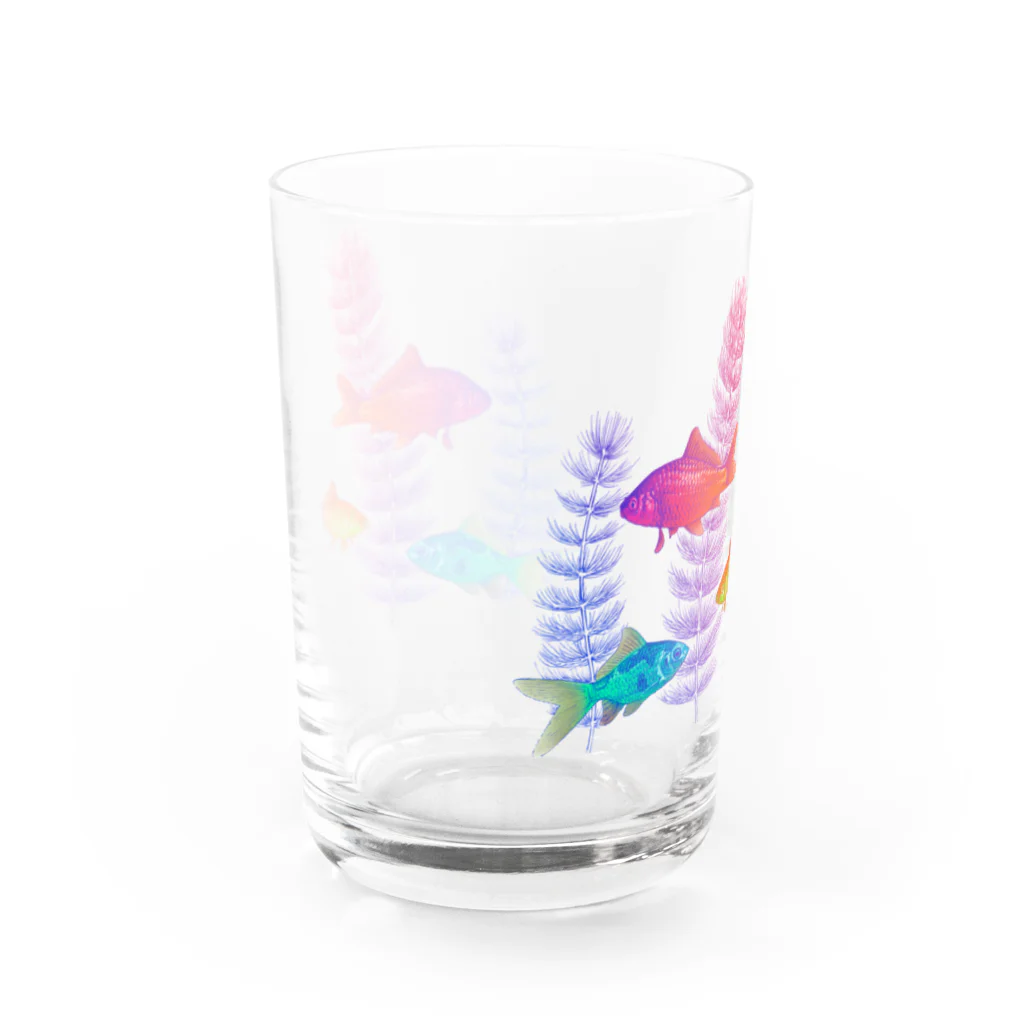 森下善行の金魚（無地） Water Glass :back