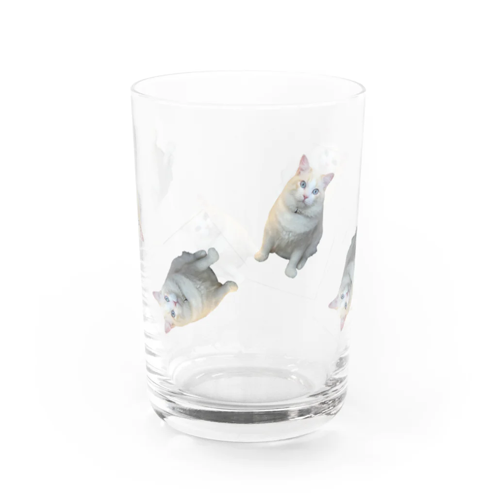 monimalの猫 Water Glass :back