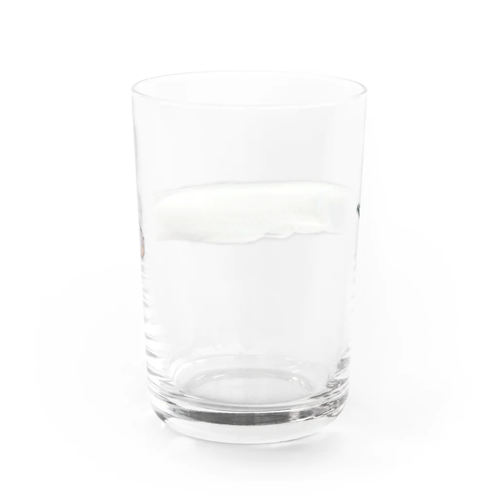 林 邦明 (クニさん)のシルバーアロワナ  Water Glass :back