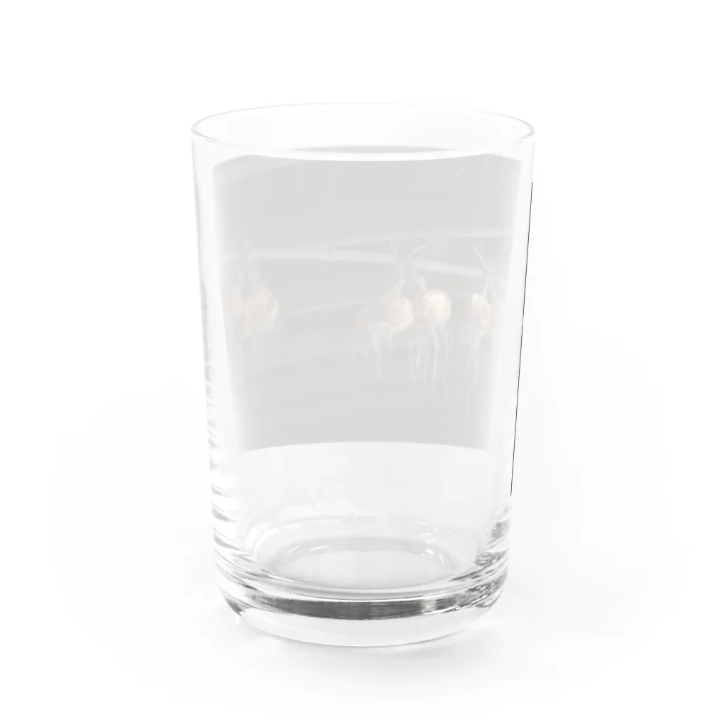 E_Officialのたまねぎ Water Glass :back