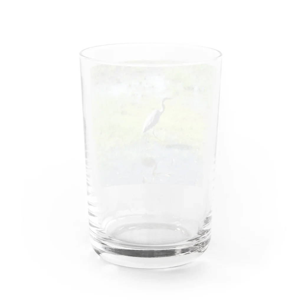 Oysterstarのアオサギくん（幼鳥） Water Glass :back