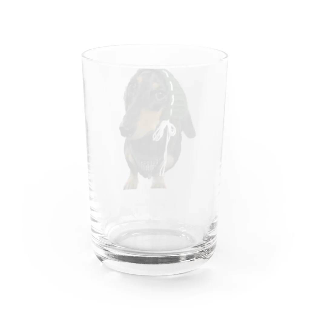 み~たの助。の冬仕様たかちゃん Water Glass :back