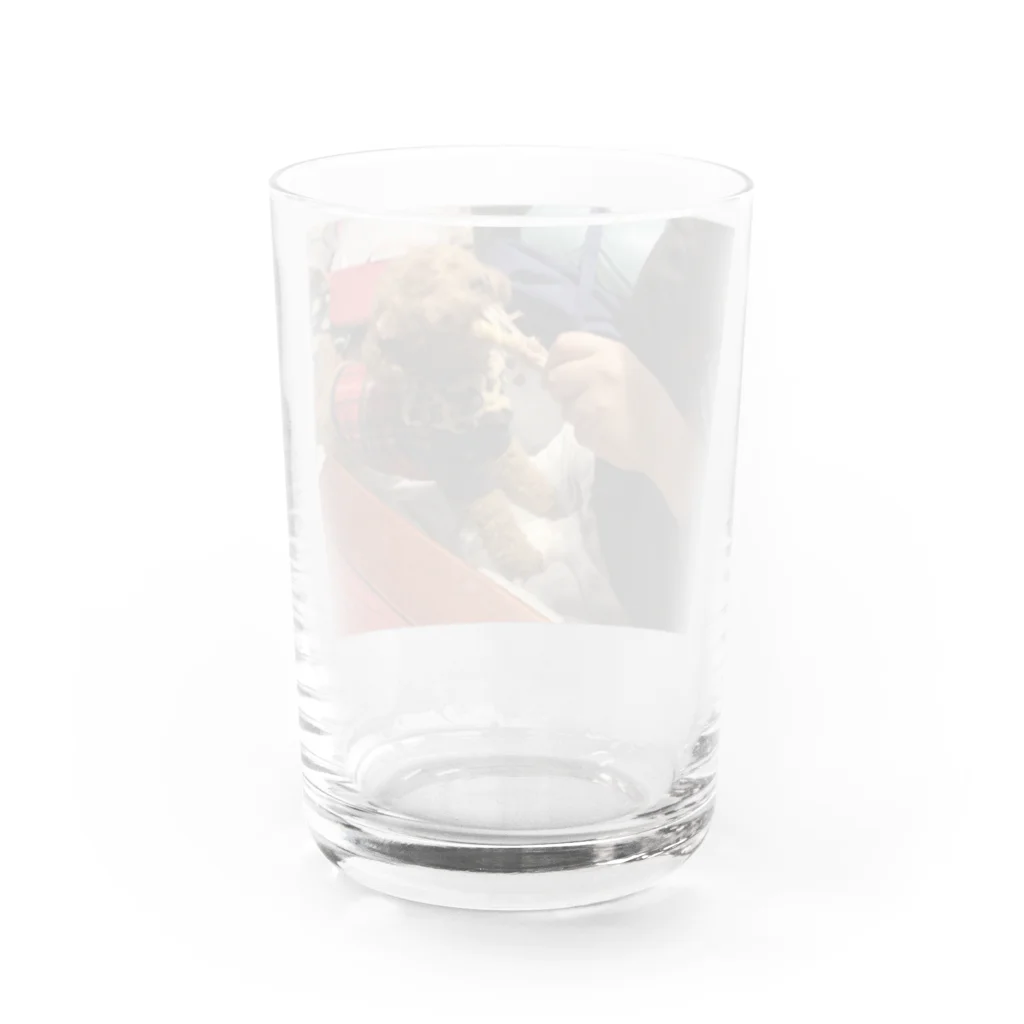 シャンティのシャンティ肉を喰らう Water Glass :back