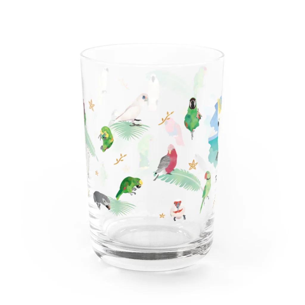 MIKIHO＠トリピカルのオウムグラス Water Glass :back