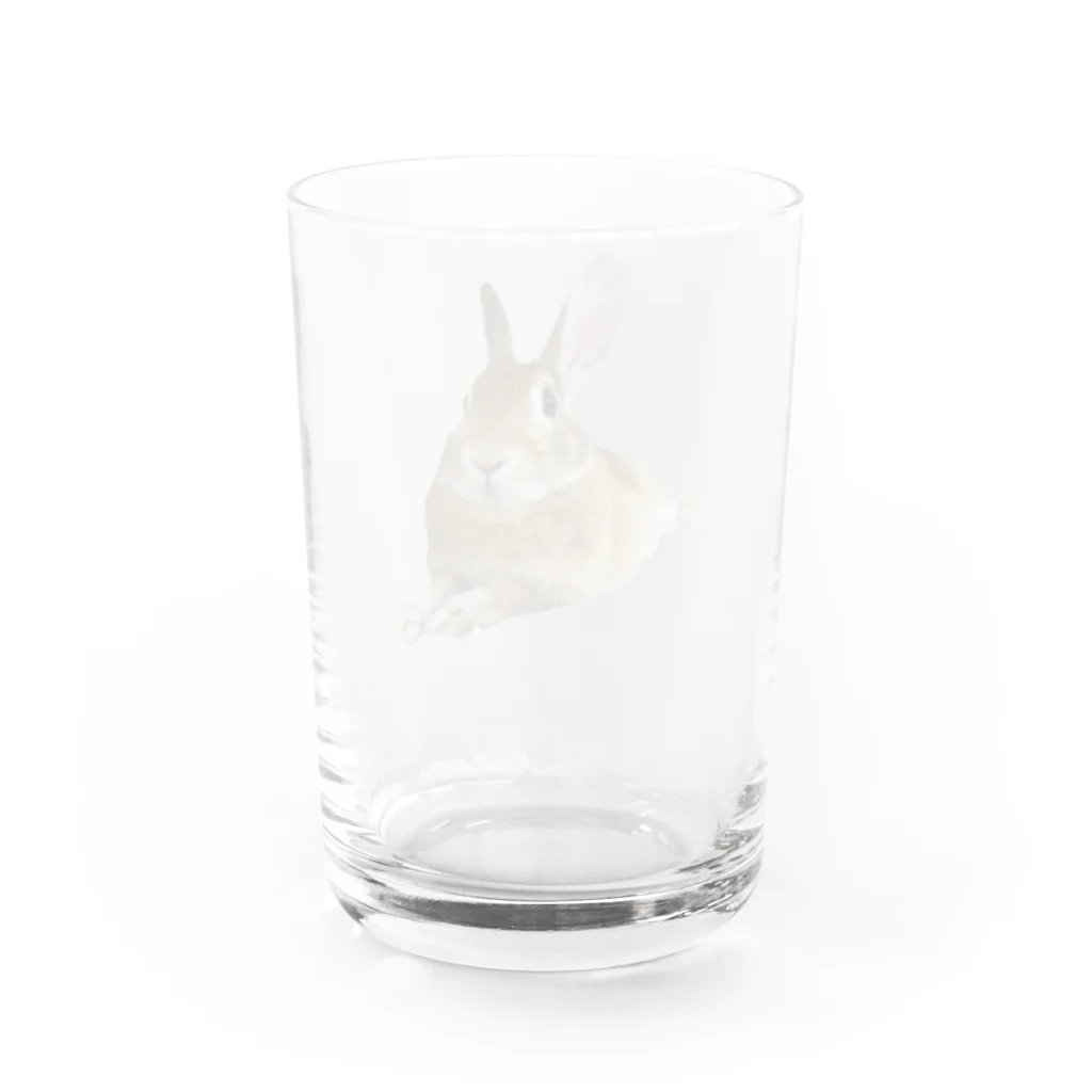 ちくわふぁくとりーのくつろぎちくわ Water Glass :back