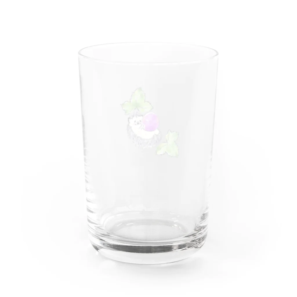 浅山しおん（ハリネズミのソフィー）のオリジナル　ハリネズミのソフィー、ブドウを食べる。 Water Glass :back