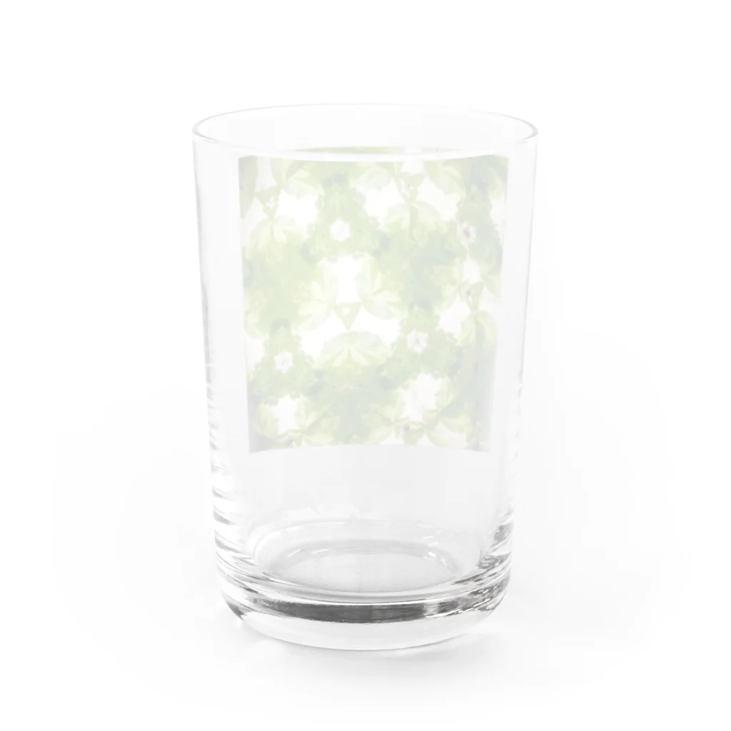 Parfume-weaverのポトス Water Glass :back