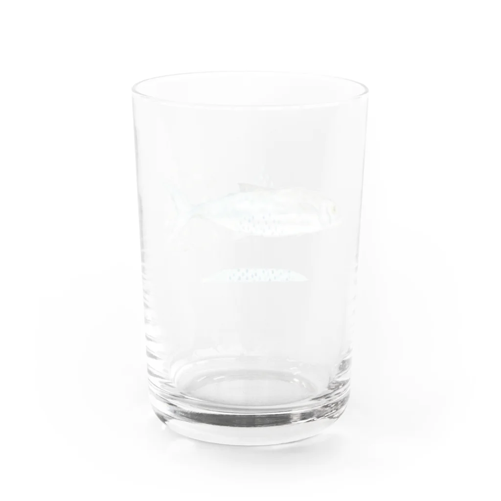 catanorynecoのSAWARA Water Glass :back