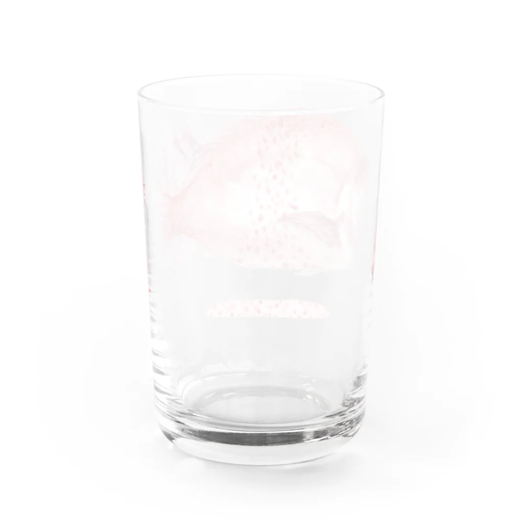 catanorynecoのTAI Water Glass :back