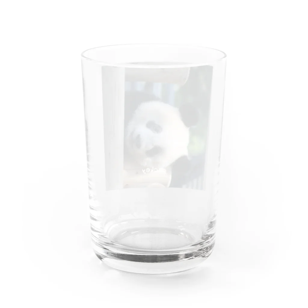 gackeyのひょっこり PANDA Water Glass :back