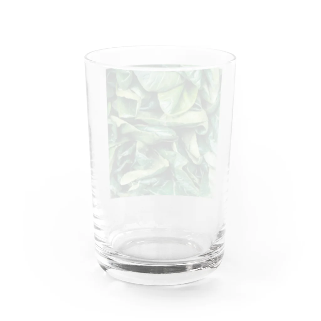 放浪写真家マコヴォイのお店のシャキシャキ Water Glass :back