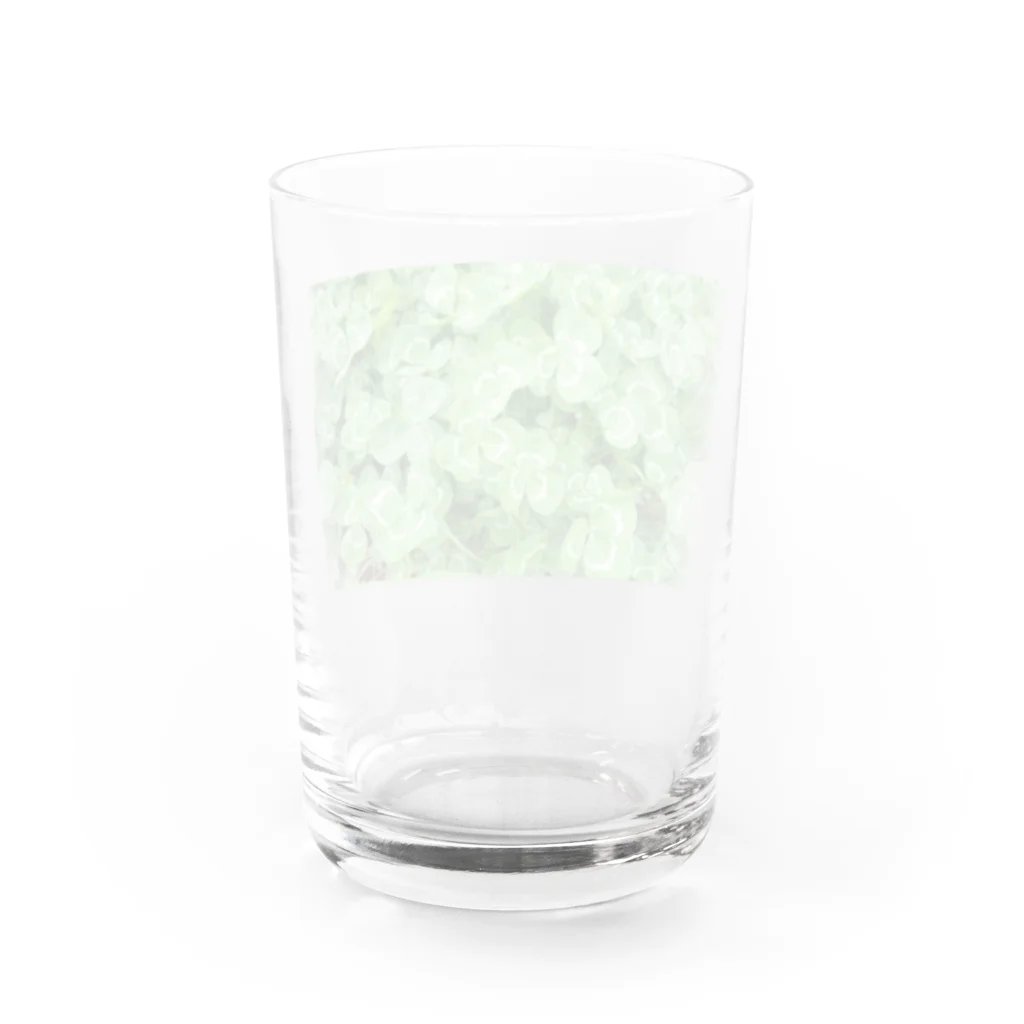 yuaomaの幸せのクローバー Water Glass :back