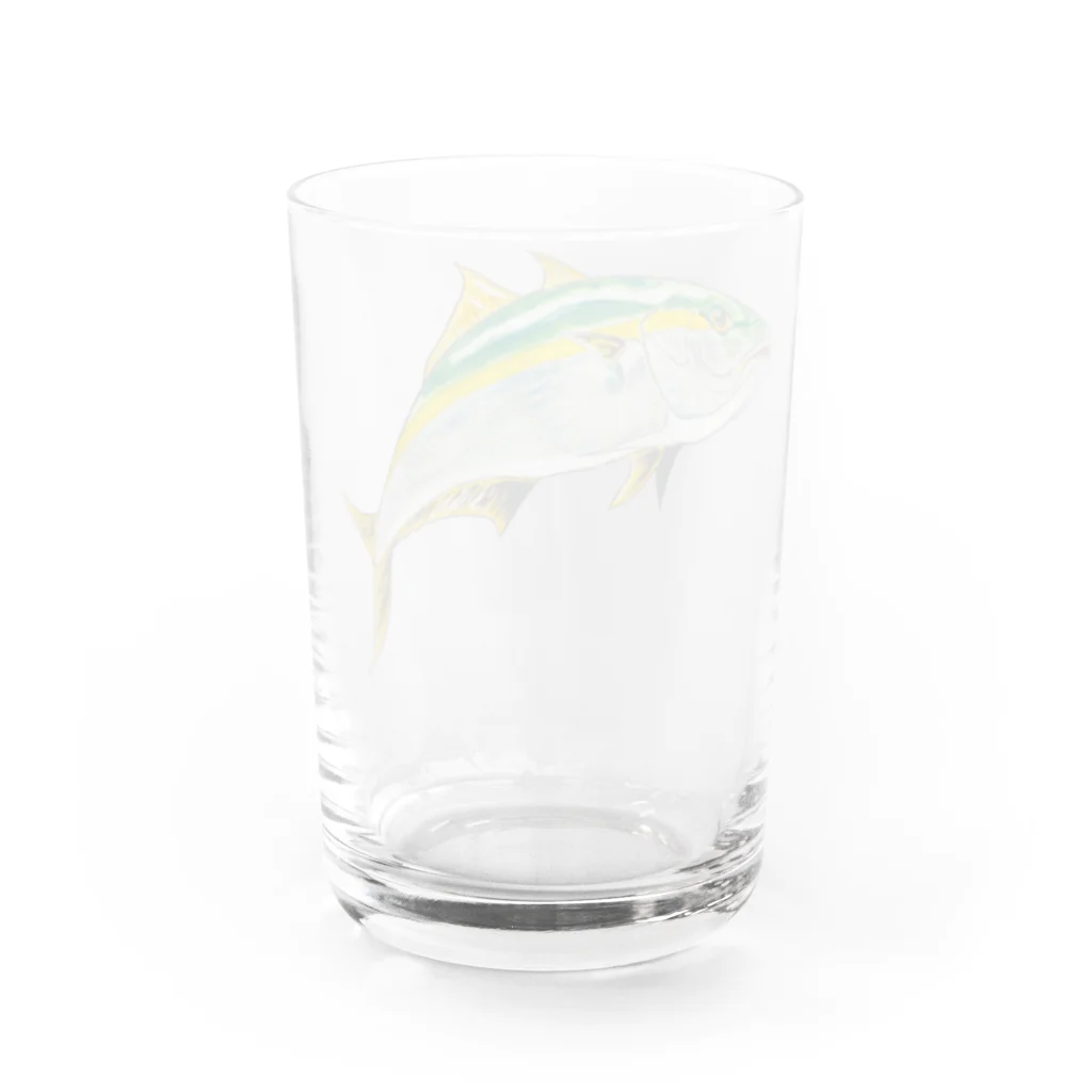 Coshi-Mild-Wildの鰤　(ブリ) Water Glass :back