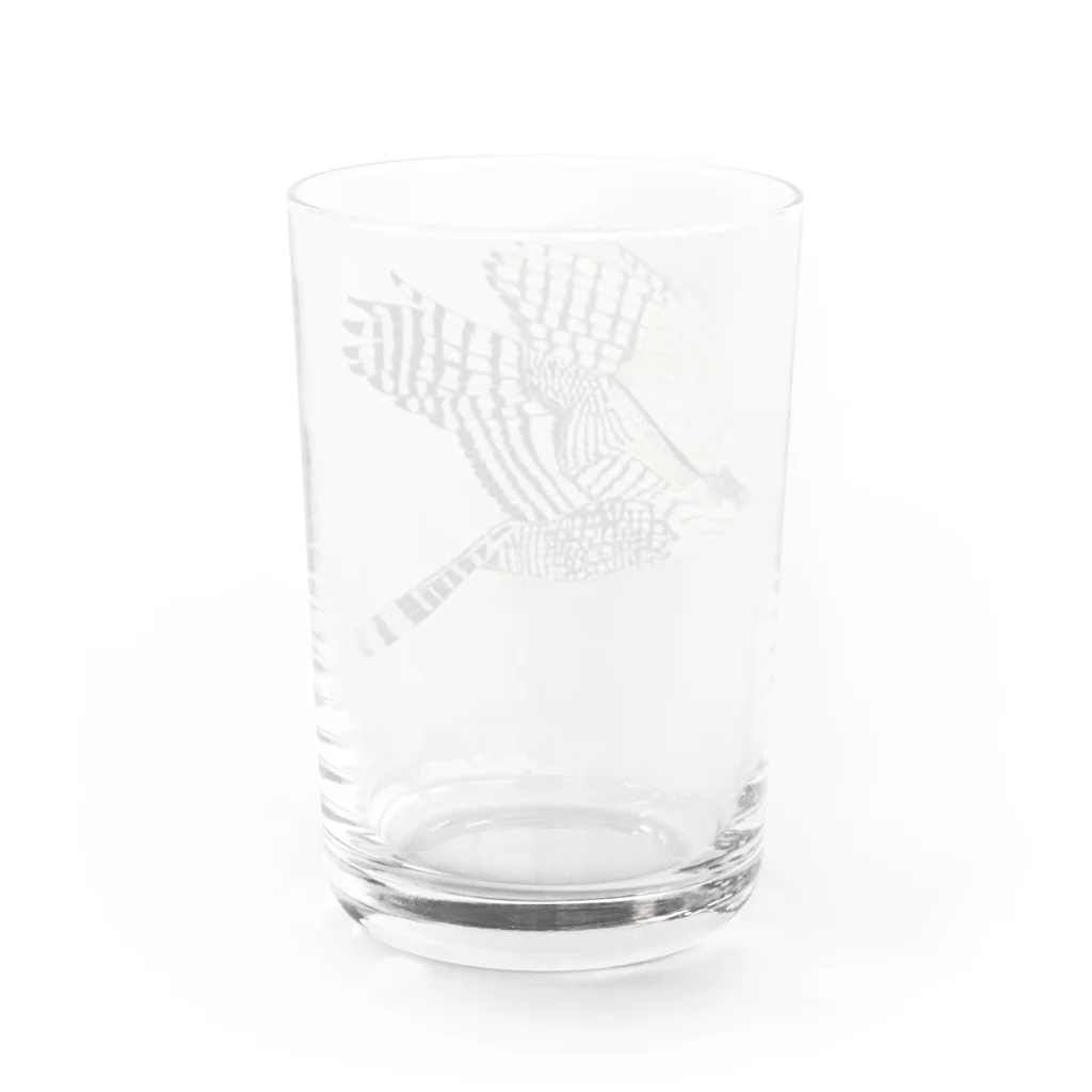 Coshi-Mild-Wildのクマタカ Water Glass :back