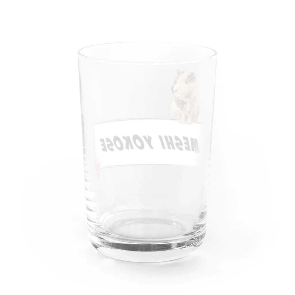 LIFE_is_a_JOKEのメシよこせ Water Glass :back