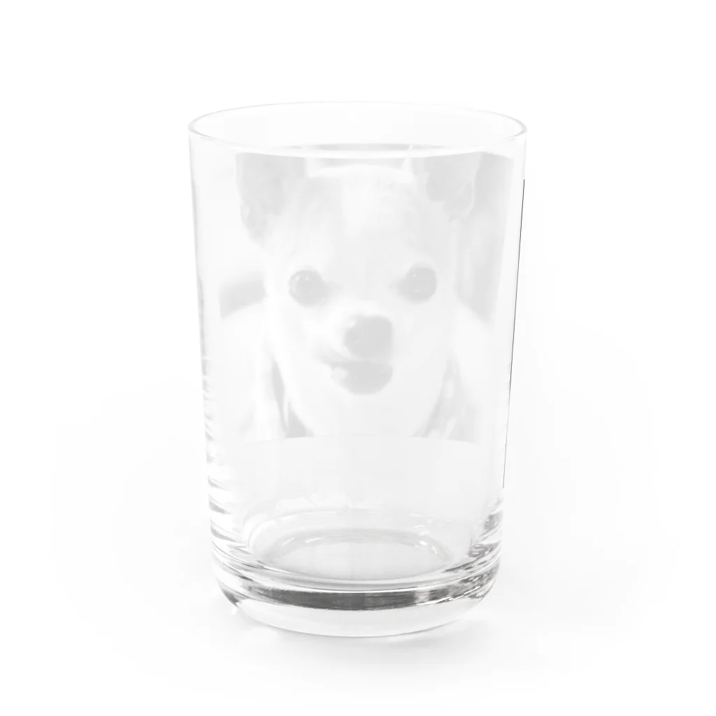 akane_art（茜音工房）のモノクロチワワ（ぺろんちょ） Water Glass :back