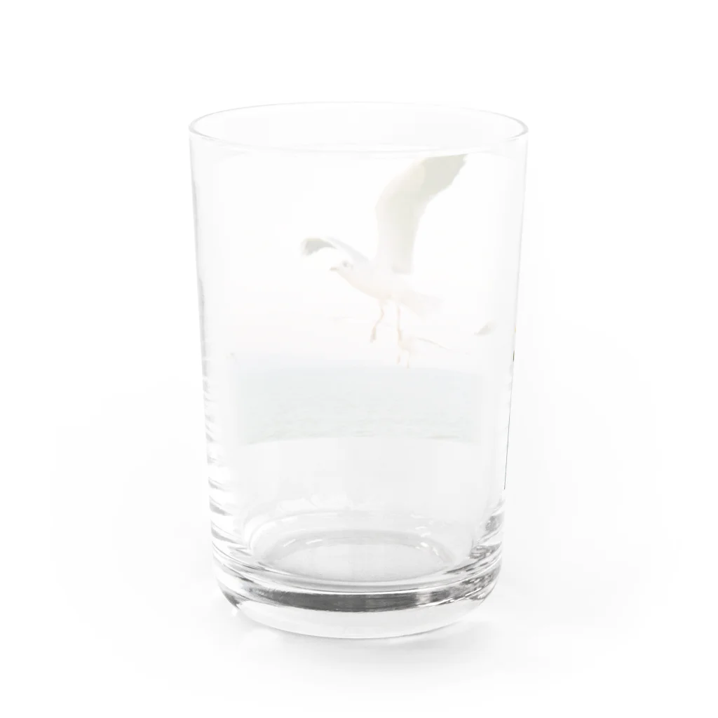 ふくだの鴎 Water Glass :back