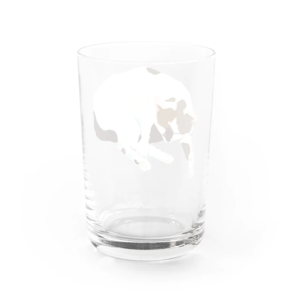 やまねくんの陽だまりのなかの三毛猫　ねこ Water Glass :back