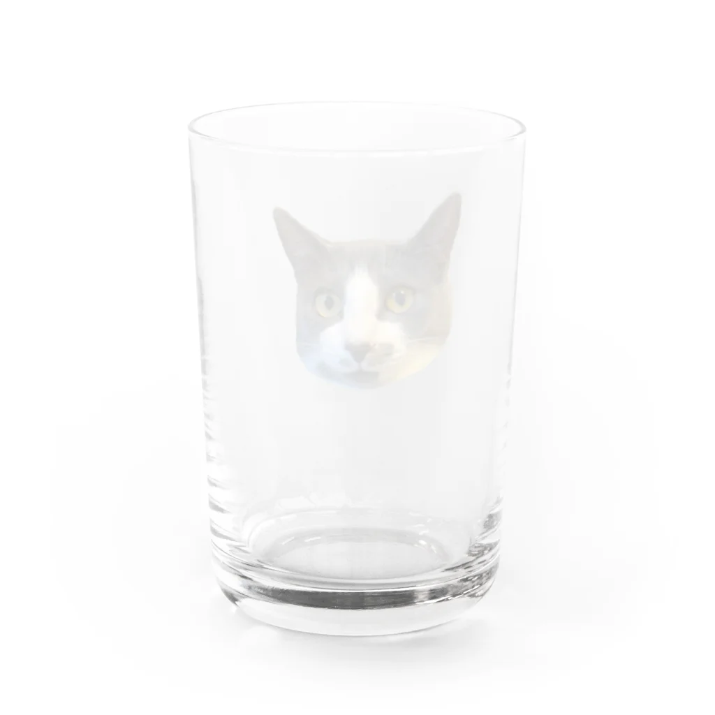 tentenのtentencat😾 Water Glass :back