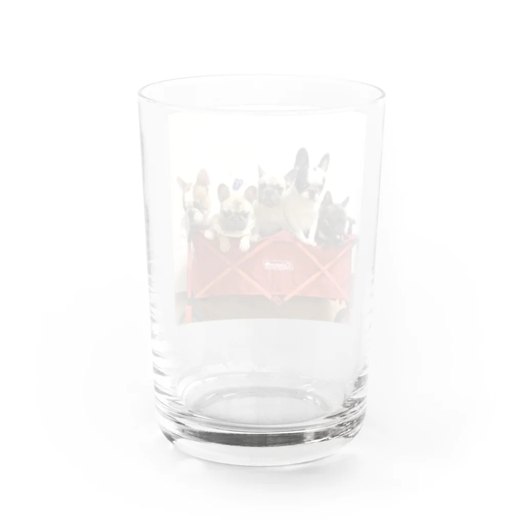 five bullsのフレンチブルドッグ  Water Glass :back