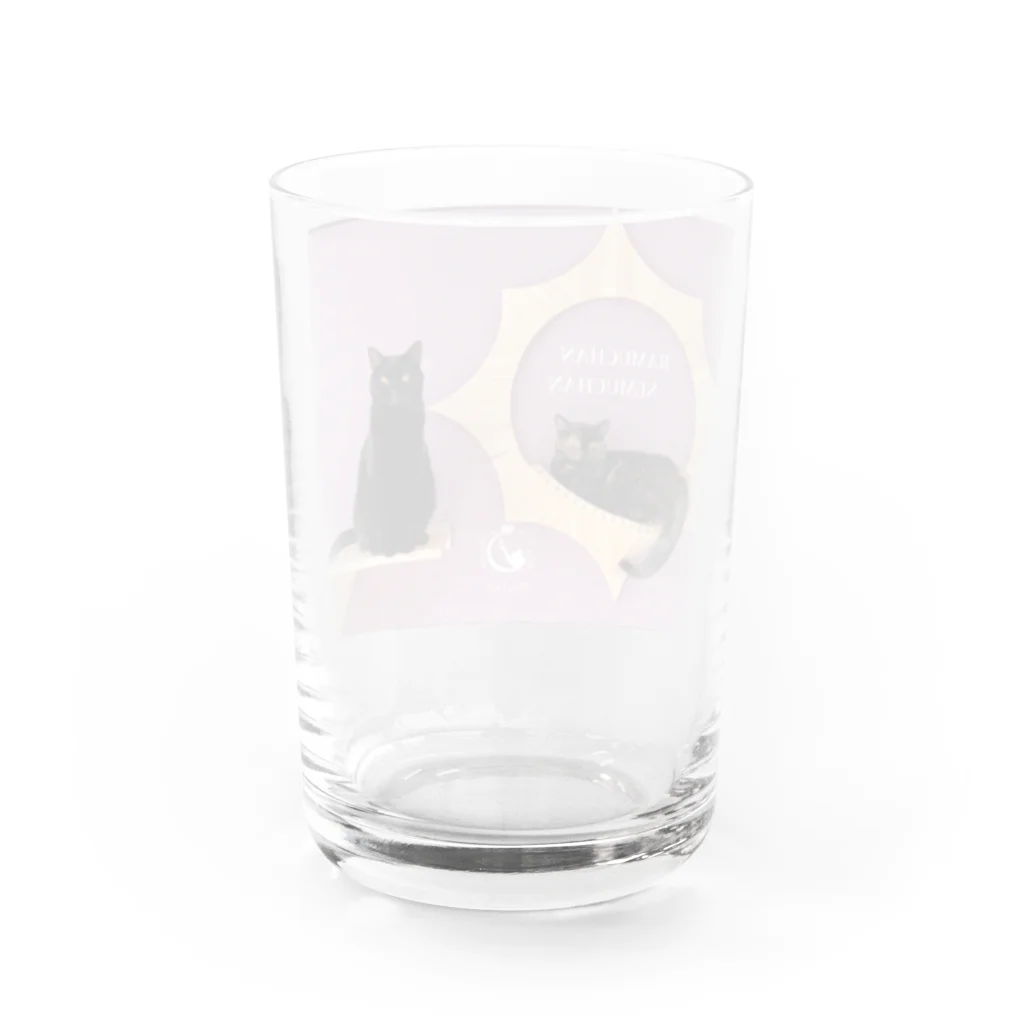 猫カフェラグドール（大阪難波）の猫カフェラグドールねむらむちゃん Water Glass :back
