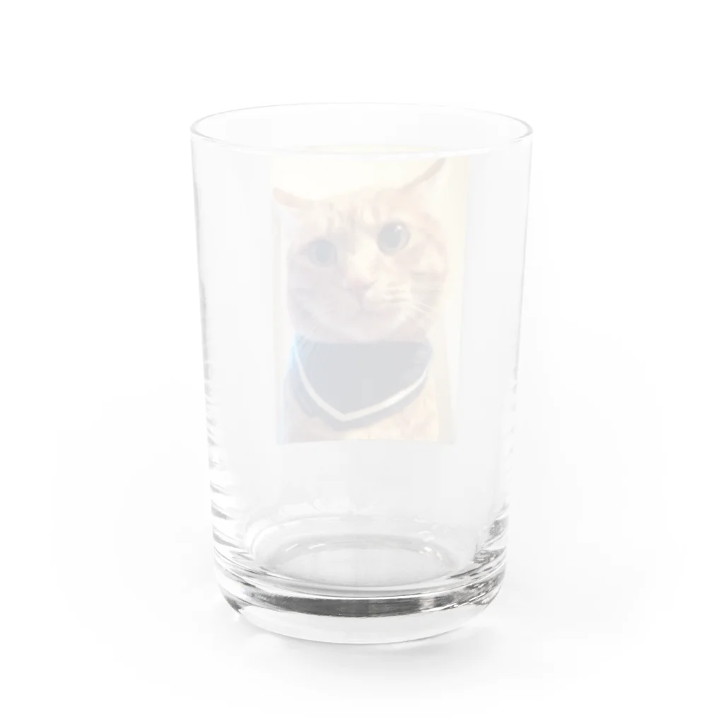 コロピンちゃんshopのコロピンちゃん Water Glass :back