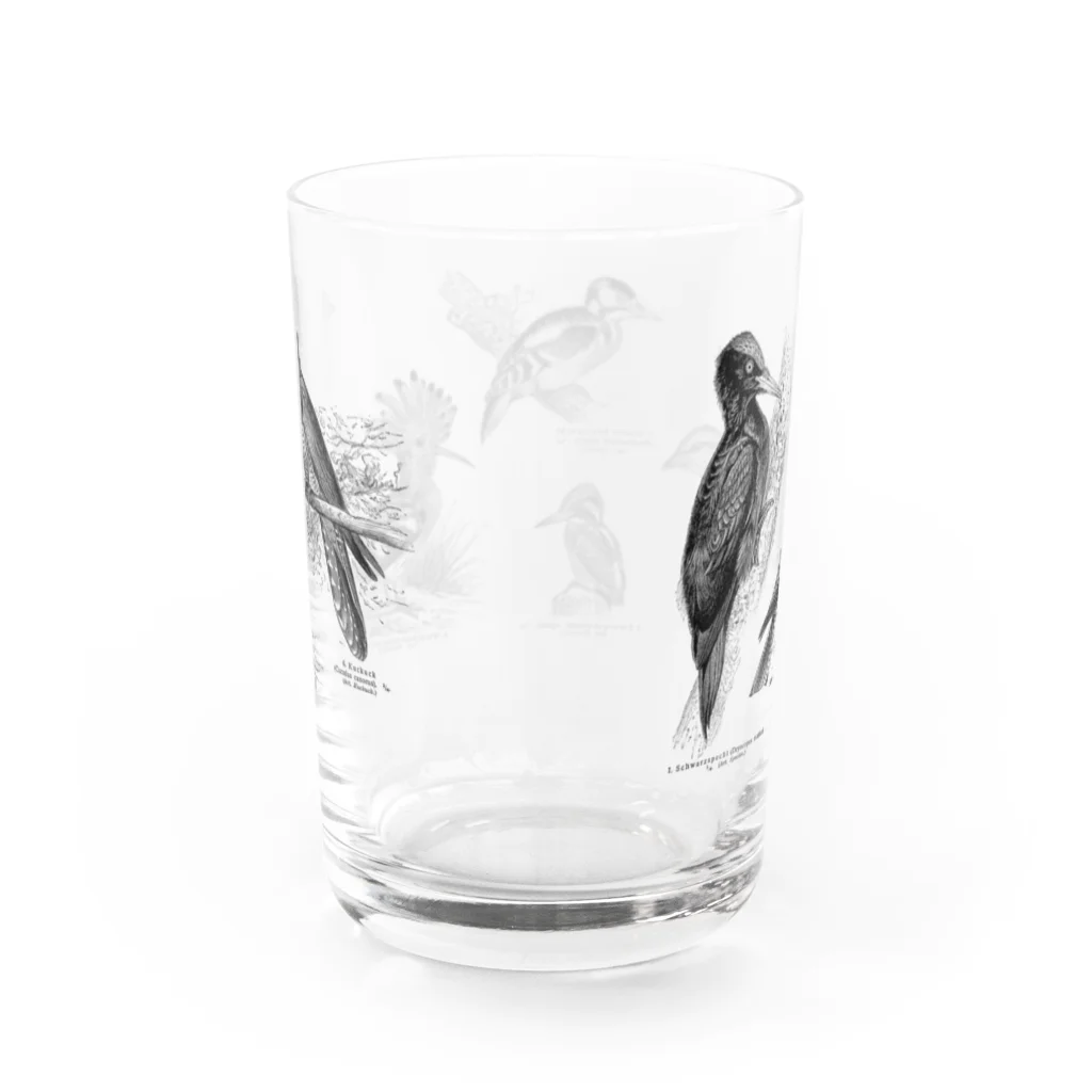 Expressgut602の樹上性鳥類1 Water Glass :back