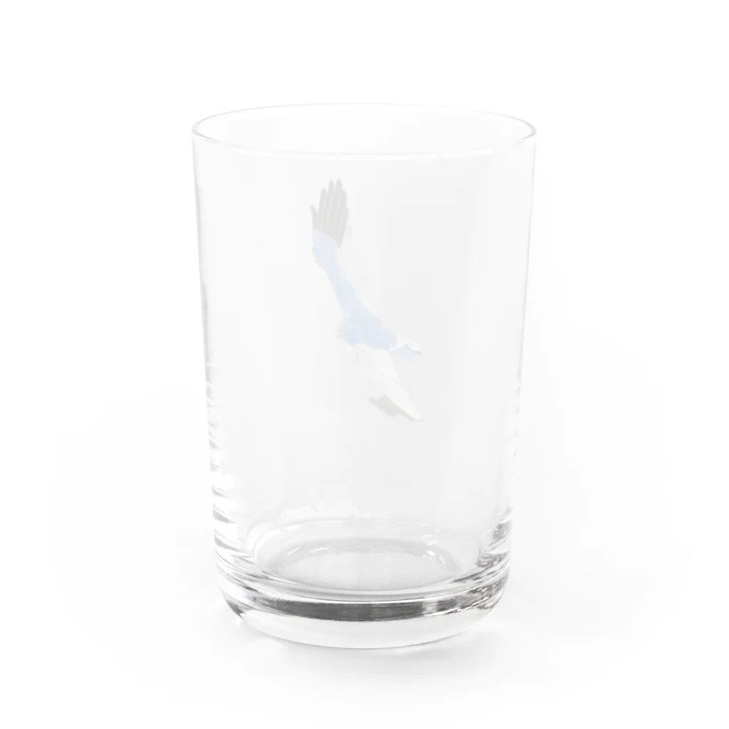 Coshi-Mild-Wildのハイイロチュウヒ Water Glass :back