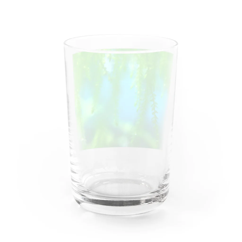 タナツキ商会の美しい水草 Water Glass :back