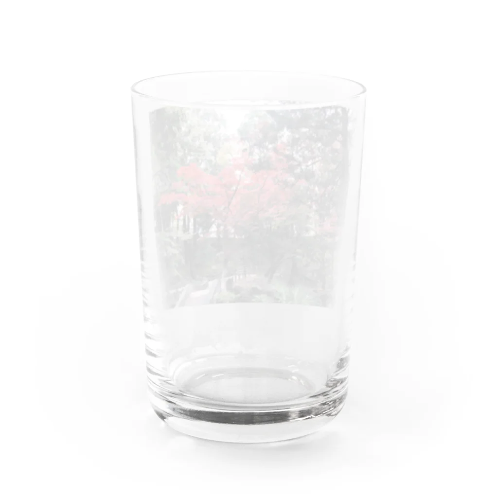 YDTの紅葉気分 Water Glass :back