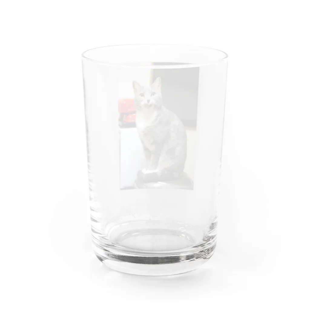 Aiko Nakanoの炊飯器は暖かいね Water Glass :back