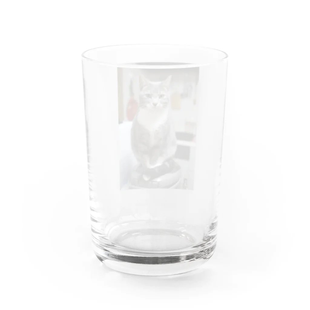 Aiko Nakanoの炊飯器に乗って何が悪いの？ Water Glass :back