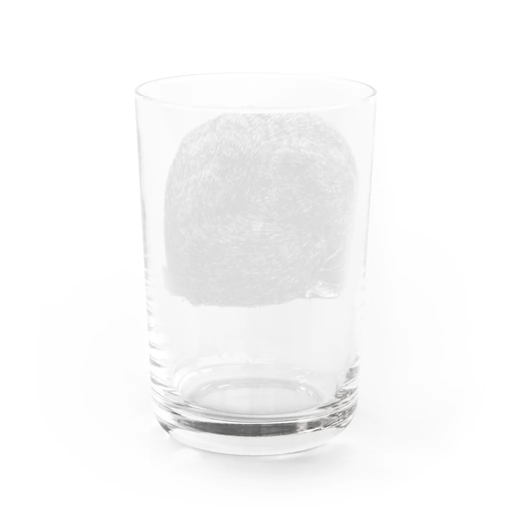 segasworksのたぶんねこ Water Glass :back