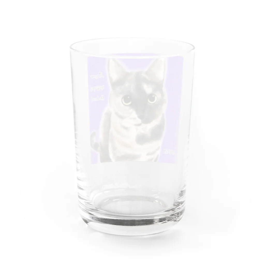 ひげ猫マリオのサビ猫 ムギちゃん Water Glass :back