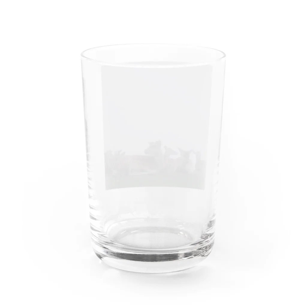 PORTONE, ART, LABORATORY.のFog and deer II Water Glass :back