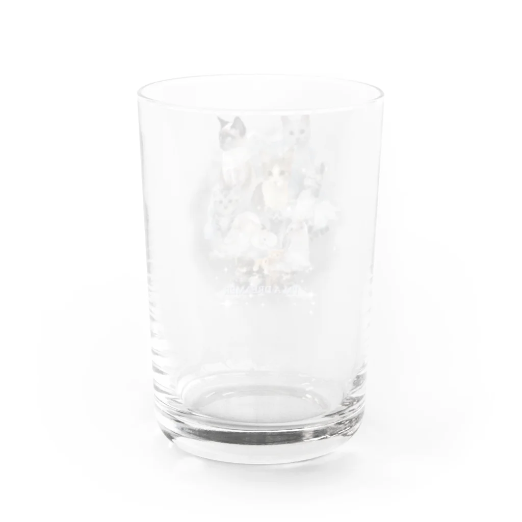 ねこスタジオの飼い猫とみんな Water Glass :back