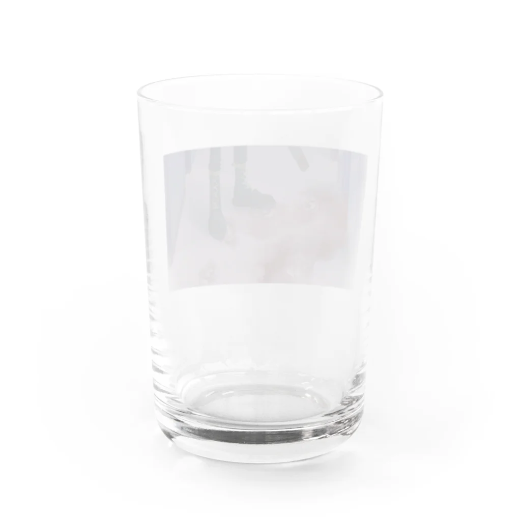 大先生の「あ、」 Water Glass :back