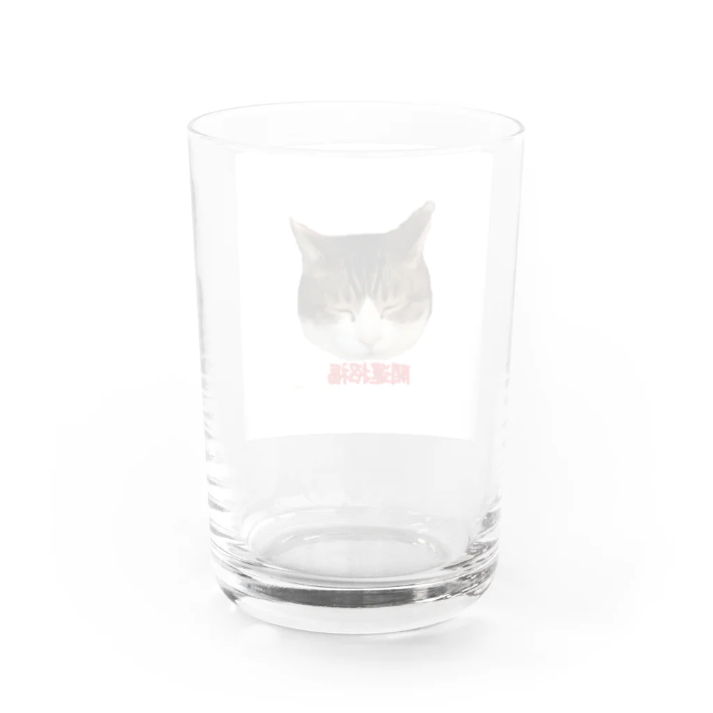 カンちゃんグッズショップのオッサン猫グッズ Water Glass :back