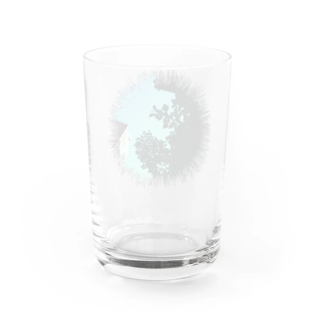 うたかた色の景色がみえるお店のあの日見ていた空 Water Glass :back