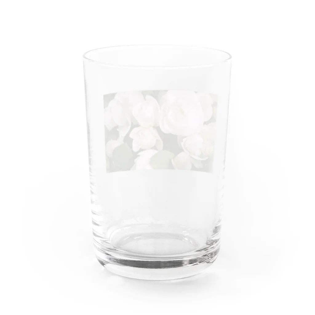 ゆい＠ymemilの白バラ Water Glass :back