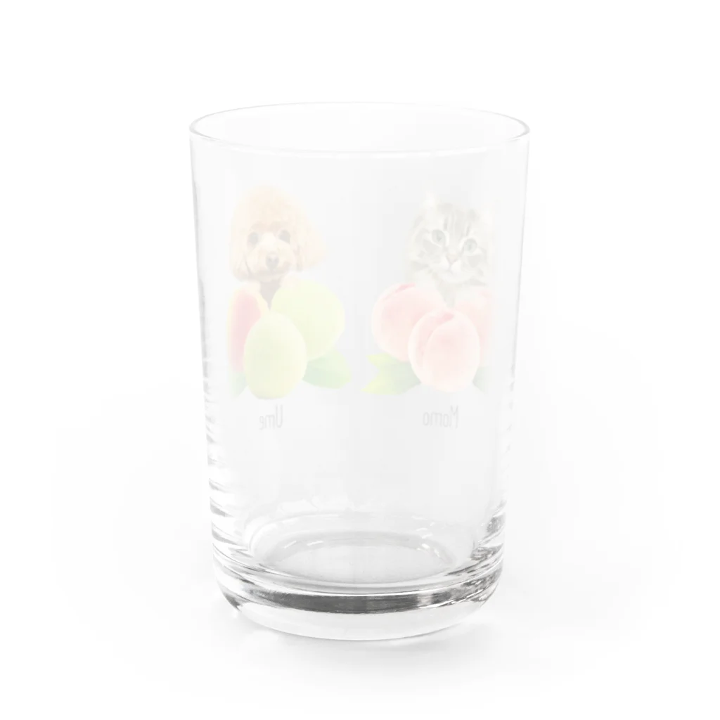 糸葉-Itoha-のMomo&Ume Water Glass :back