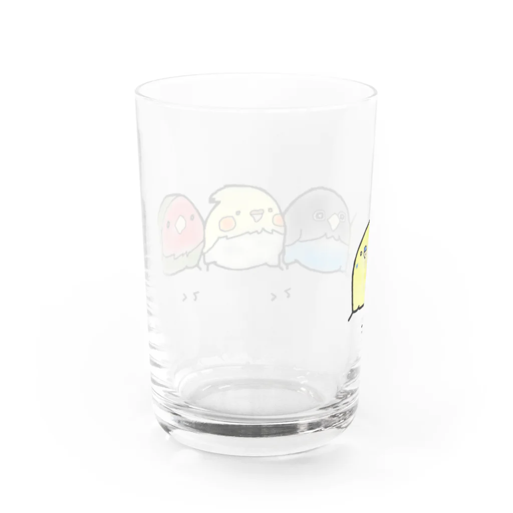 羊毛ことり‎(•ө•)tokoriのインコ ボタン オカメ コザクラ隊 Water Glass :back