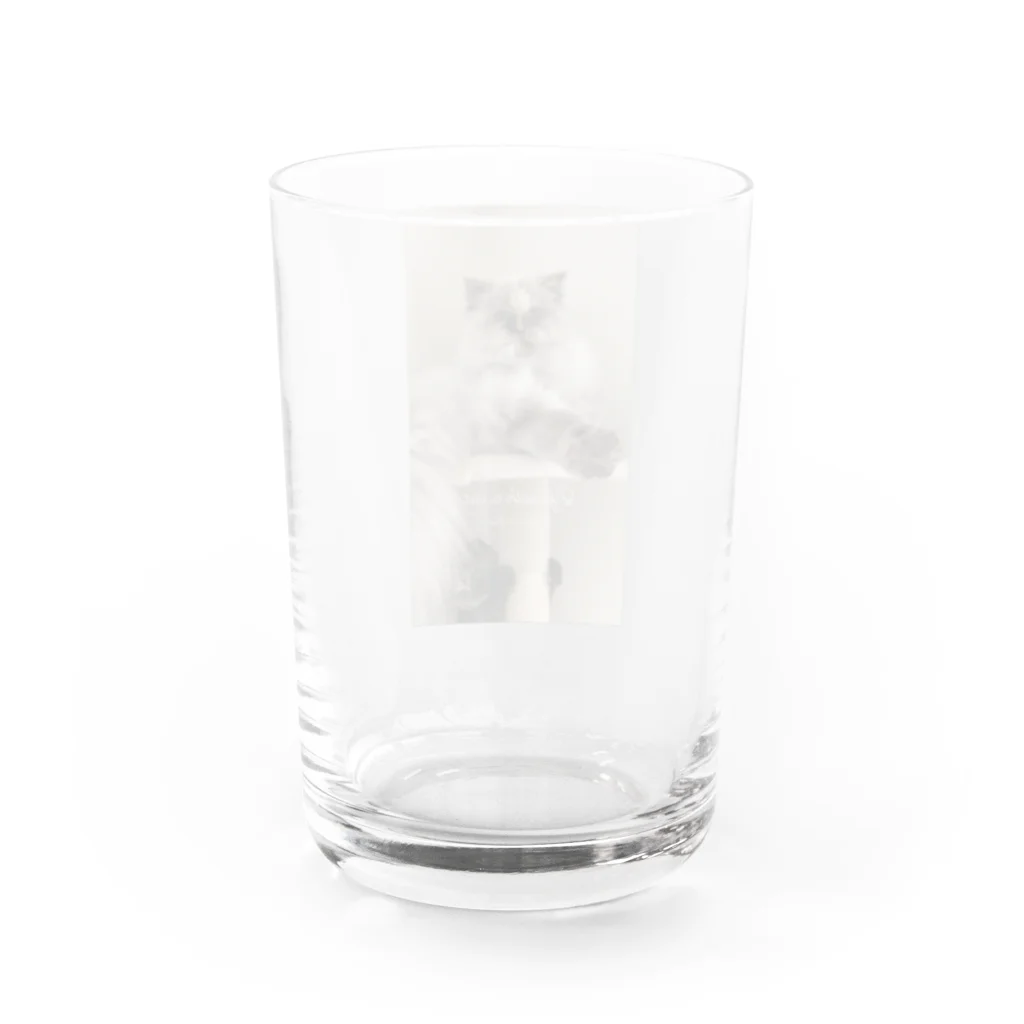 MugisumiのMugisumi Water Glass :back