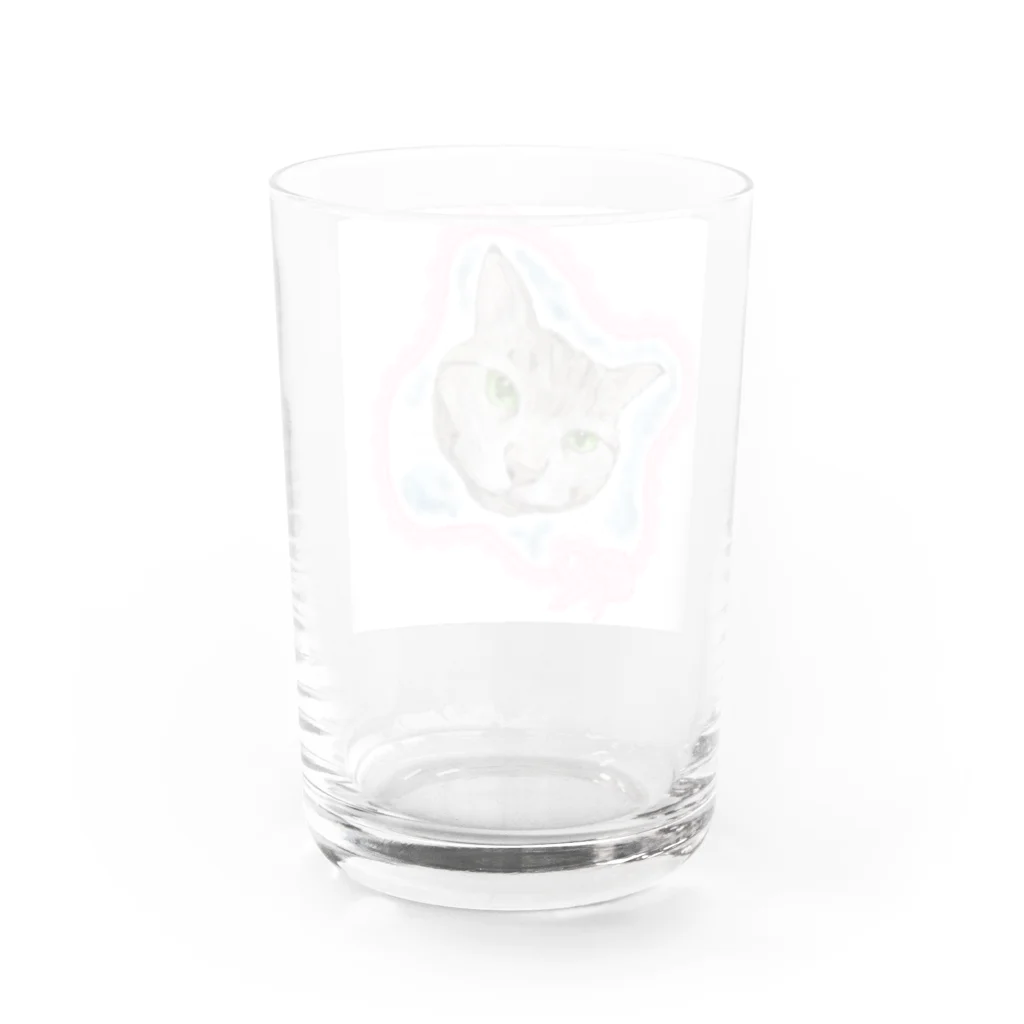 キジトラかもしれないの見つめるニャンコ Water Glass :back