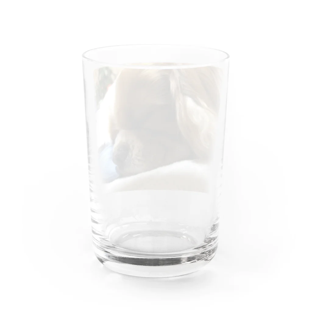 Furuの休みましょ Water Glass :back