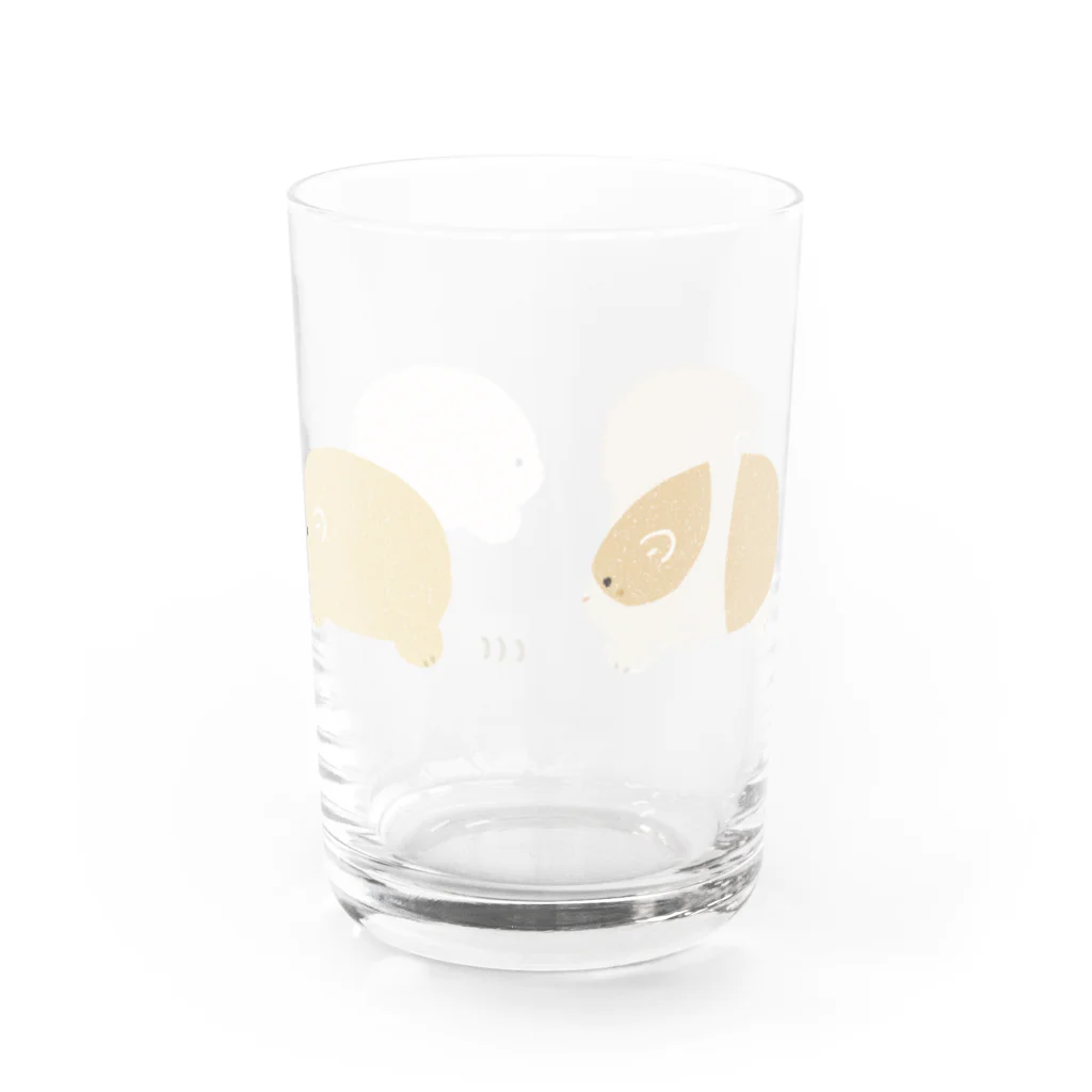 るびあなのモルモットの行進 Water Glass :back