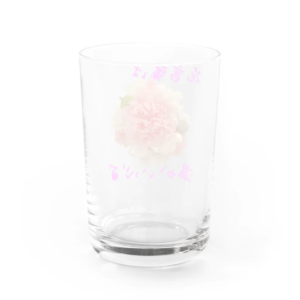 お花の双葉の薄いピンクカーネーション(花言葉) Water Glass :back