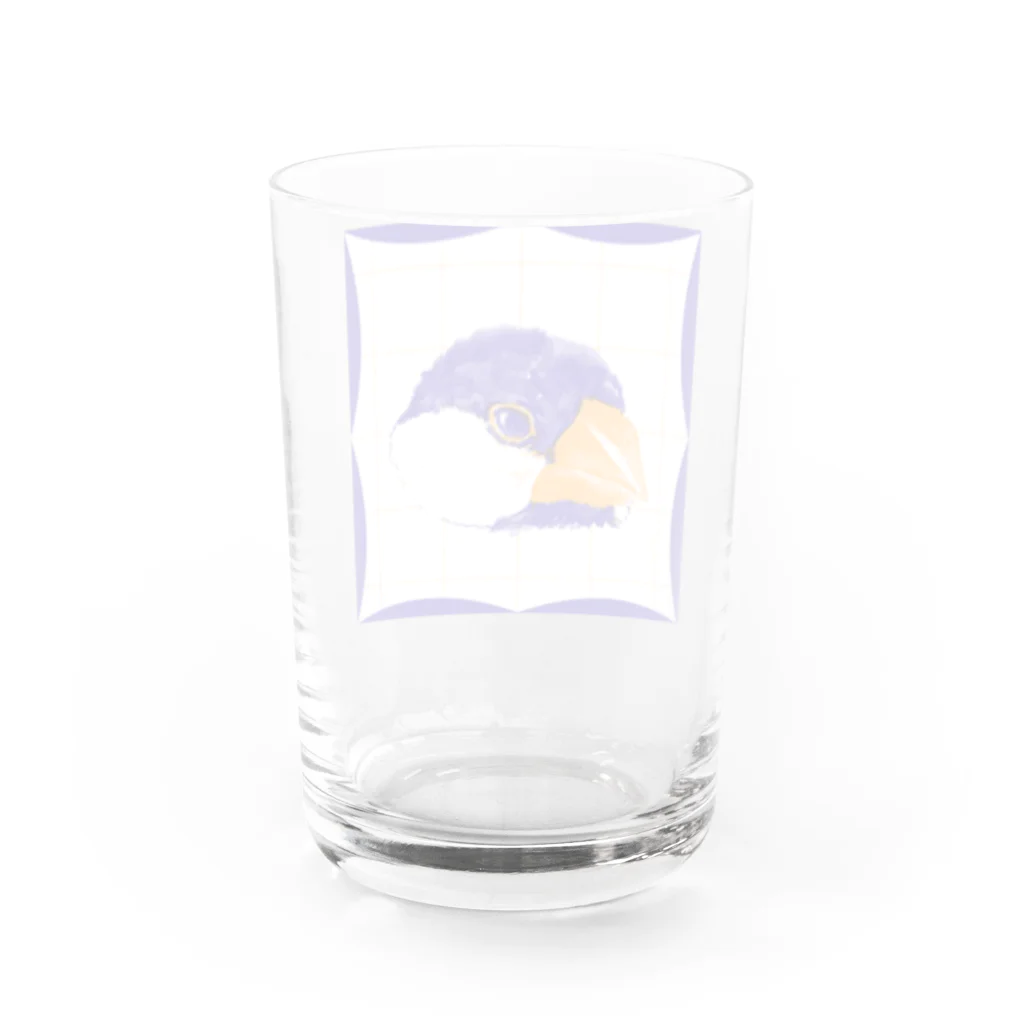 一般のオレンジ×ブルーの文鳥 Water Glass :back